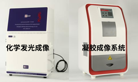 凝胶成像系统