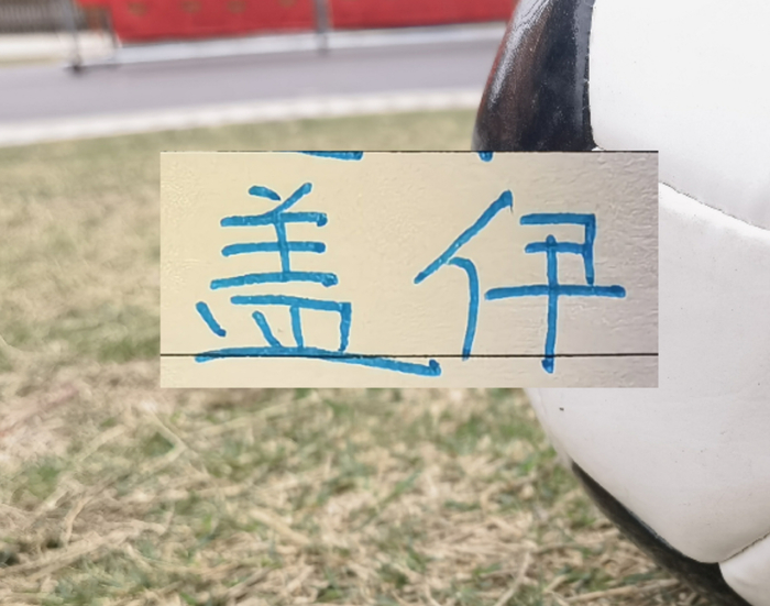 中超首轮最佳球员席尔瓦引争议 盖伊伤病成申花